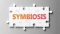 Symbiosis complex like a puzzle - pictured as word Symbiosis on a puzzle pieces to show that Symbiosis can be difficult and needs Royalty Free Stock Photo