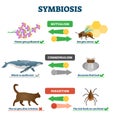 Symbiosis vector illustration. Labeled living together educational scheme.