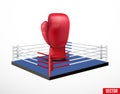 Symbol of a boxing and prize ring