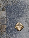 Symbol of the camino de santiago