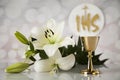 Symbol christianity religion a golden chalice with grapes and br Royalty Free Stock Photo