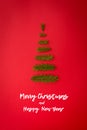 Symbol Christmas tree from a fir branches on red background