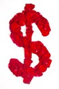 Symbol dollar made from red petals rose