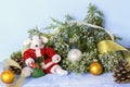 Symbol of 2020 on the eastern calendar. Cute white rat in a red Santa Claus costume near the juniper branch and golden