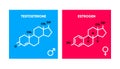 Symbol of estrogen and testosterone. Skeletal formula logos. Molecular chemical formula of sex hormones. Male and female