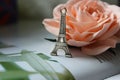 Miniature Eiffel tower in silver on the background of a blooming pink rose Royalty Free Stock Photo