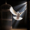 Symbol of freedom, a white dove with outstretched wings flies towards the light, leaving behind an open birdcage