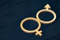 A symbol of gender equality made of plywood. Black wooden background. Male and female symbols Royalty Free Stock Photo