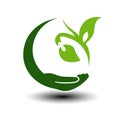 Symbol of green energy. Circular natural element. Hand and plant with leaf. Nature icon.