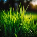 symbol of green grass photorealistic, generative AI