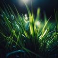 symbol of green grass photorealistic, generative AI