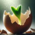 Small seedling emerges from egg shell