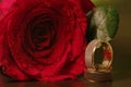 Love and happiness. Happy marriage. Rings and red rose with water drops