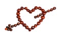 Symbol heart with arrow made of chestnuts