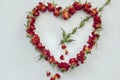 Symbol heart from roses pierced by Cupid's arrow Royalty Free Stock Photo