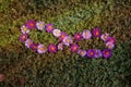 Symbol of infinity in aster flowers. Lemniscate sign made with autumn purple flowers on a green grass background.