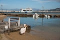 Symbol of the island - pelican Petros, Mikonos, Greece