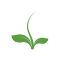 Symbol life. Origin seedling logo. Green plant sign. Vector isolated unusual sprout illustration.