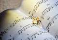 Symbol of love, Ring on the song books music notes