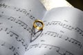 Symbol of love, Ring on the song books music notes