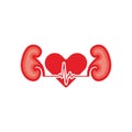 The symbol love for the kidneys