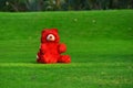 red teddy bear sitting on a garden