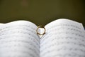 Symbol of love, Ring on the song books music notes