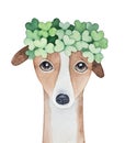 Watercolour illustration of gentle beautiful dog wearing green wreath of clover leaves on head.