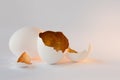 A symbol of new life, eggs shells. Decorative, gold color inside