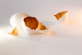 A symbol of new life, eggs shells. Decorative, gold color inside