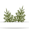Symbol of the New Year. An image of two green fir trees without a mesh and a gradient. Place for advertising