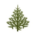 Symbol of the New Year. Picture of a magnificent spruce