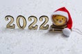 The symbol of the new year is a tiger in a Santa hat on a sleigh in the snow with golden numbers on a background of bokeh lights. Royalty Free Stock Photo