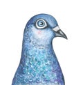 Watercolour illustration of blue pigeon character.