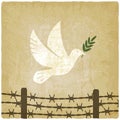 Symbol peace white dove flies over the barbed wire vintage background