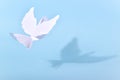 The symbol of peace is a white dove.