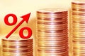 The symbol of percent on the background of money . Royalty Free Stock Photo