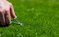 Symbol for a perfectionist who cuts the lawn with small scissors. Royalty Free Stock Photo