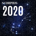 Symbol: Scorpius Zodiac Sign with the New Year and Christmas 2020. Vector Illustration