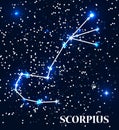 Symbol Scorpius Zodiac Sign. Vector Illustration.