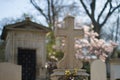 Symbol of spirituality at blurred springtime cemetery with stone cross Royalty Free Stock Photo