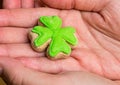 Symbol of the spring holiday day saint patrick green leaf clover mastic cookies on palms