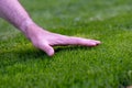 Symbol for taking care of the lawn. Hand feel the height of freshly cut grass.