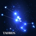 Symbol. Taurus Zodiac Sign. Vector Illustration Royalty Free Stock Photo