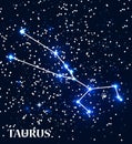 Symbol Taurus Zodiac Sign. Vector Illustration. Royalty Free Stock Photo