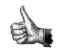 Symbol thumb up. Hand gesture sketch. Vector illustration Royalty Free Stock Photo