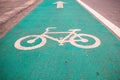 Symbol to indicate the road for bicycles.please share the road for bike. Royalty Free Stock Photo