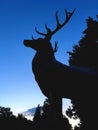 The legendary deer statue
