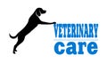 Symbol of veterinary medicine