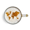 Symbol world map on the beer foam in glass isolated on white background. Top view